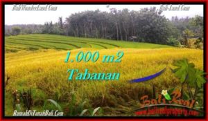 FOR SALE Affordable LAND IN Tabanan Selemadeg BALI TJTB273