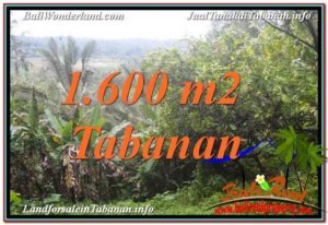 Exotic PROPERTY Tabanan Selemadeg 1,600 m2 LAND FOR SALE TJTB348