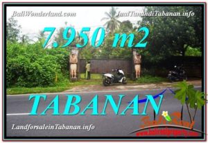 FOR SALE Affordable LAND IN Tabanan Bedugul BALI TJTB331