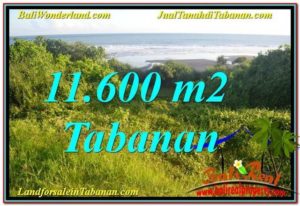 Exotic TABANAN LAND FOR SALE TJTB340