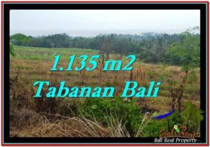 FOR SALE Beautiful PROPERTY 1,135 m2 LAND IN Tabanan Selemadeg TJTB253