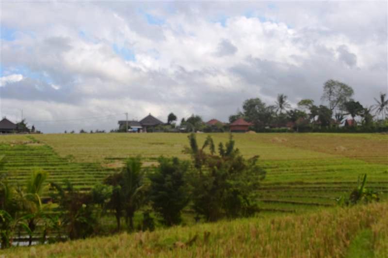 Land for sale in Tabanan Bali Indonesia