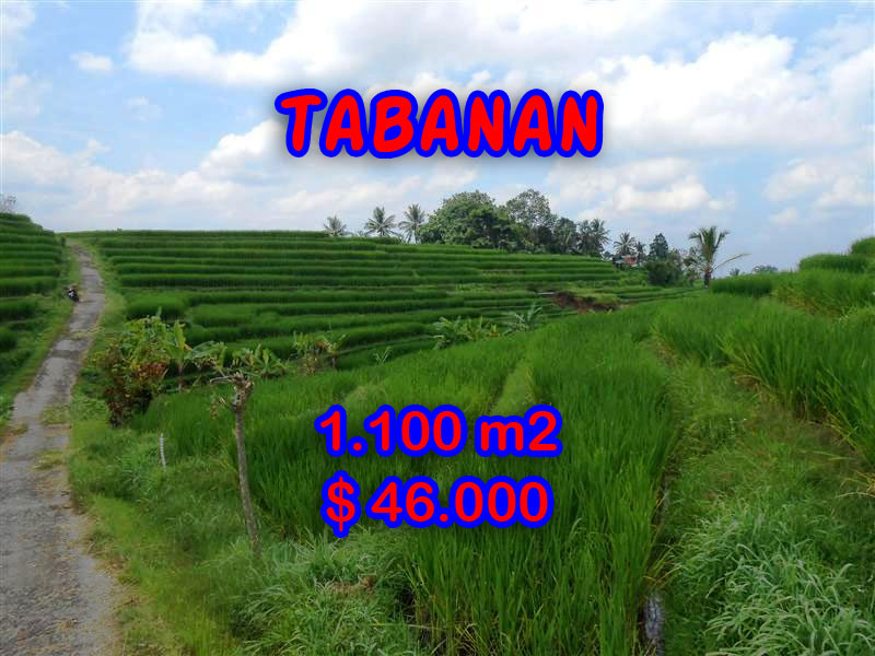 Land sale in Tabanan
