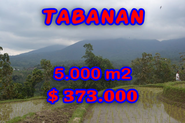 Land sale in Tabanan