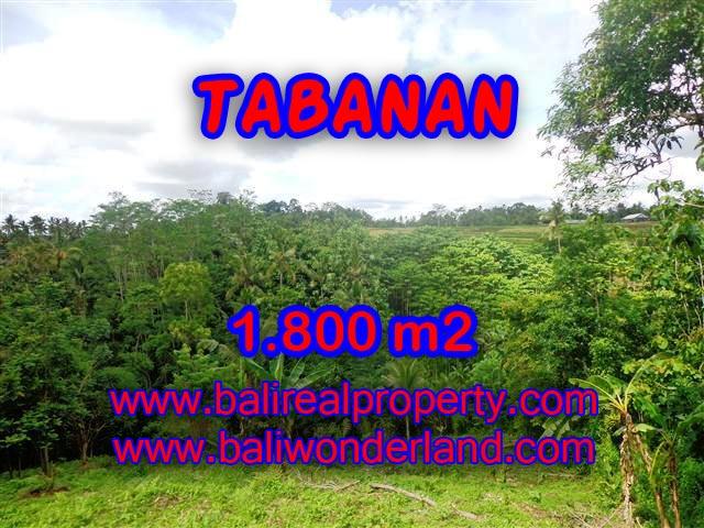 Fantastic Land for sale in Bali, mountain, river and paddy view in Tabanan Penebel– TJTB088