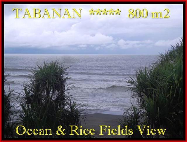 Exotic 800 m2 LAND FOR SALE IN TABANAN BALI TJTB183