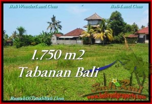 Affordable LAND IN Tabanan Selemadeg BALI FOR SALE TJTB231