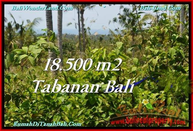18,500 m2 LAND IN TABANAN BALI FOR SALE TJTB232