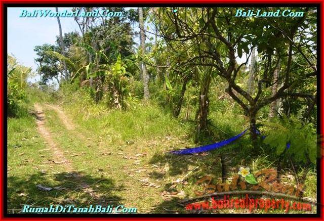 18,500 m2 LAND IN TABANAN BALI FOR SALE TJTB232