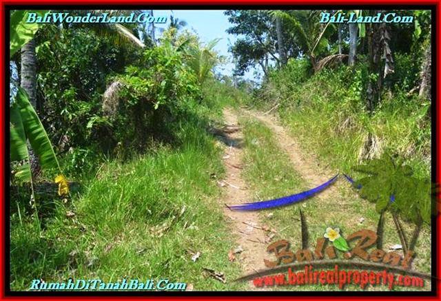 18,500 m2 LAND IN TABANAN BALI FOR SALE TJTB232
