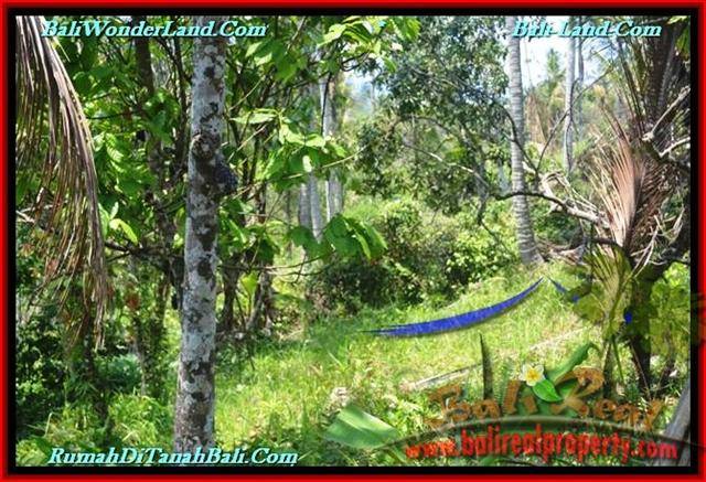 18,500 m2 LAND IN TABANAN BALI FOR SALE TJTB232