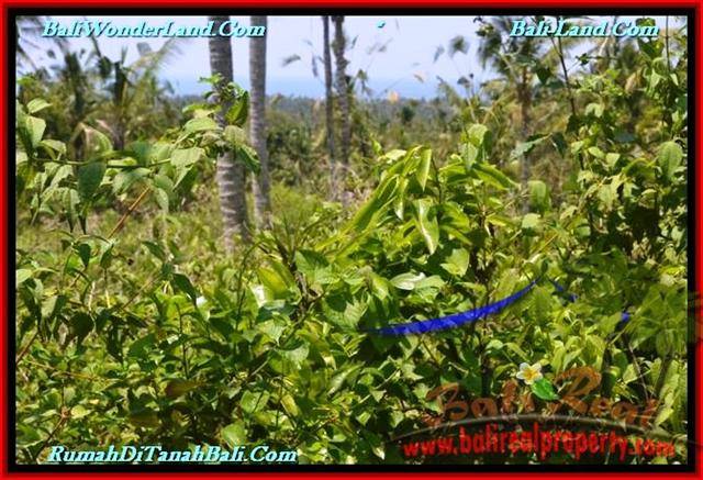 18,500 m2 LAND IN TABANAN BALI FOR SALE TJTB232