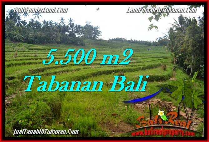 FOR SALE Magnificent PROPERTY LAND IN TABANAN TJTB280