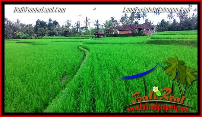 FOR SALE Magnificent PROPERTY LAND IN TABANAN TJTB280