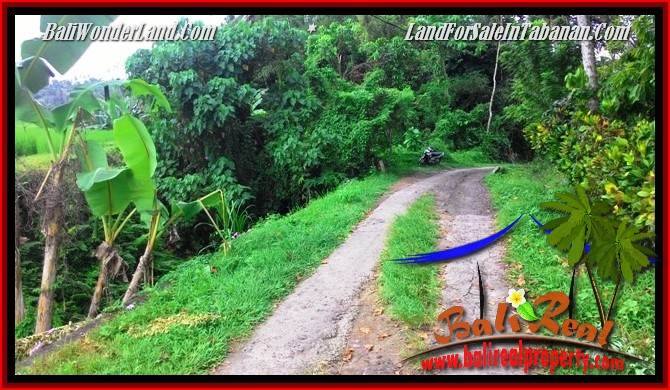 FOR SALE Magnificent PROPERTY LAND IN TABANAN TJTB280