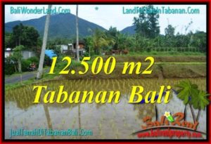 Affordable PROPERTY Tabanan Penebel LAND FOR SALE TJTB317