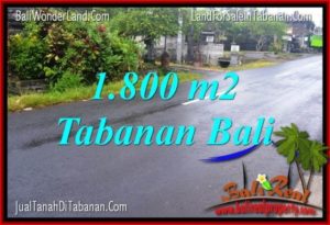 FOR SALE Magnificent LAND IN Tabanan Kota BALI TJTB321