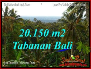 FOR SALE Magnificent PROPERTY LAND IN Tabanan Penebel TJTB322