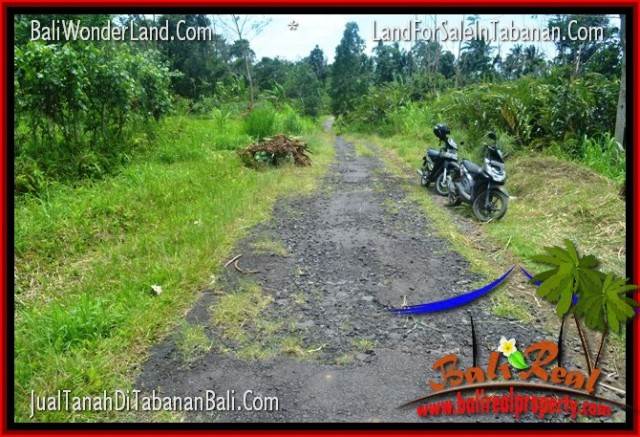 Exotic 150,000 m2 LAND IN Tabanan Penebel FOR SALE TJTB318