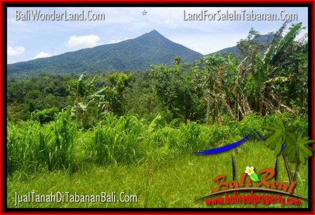 Exotic 150,000 m2 LAND IN Tabanan Penebel FOR SALE TJTB318