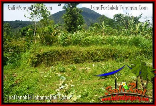 Exotic 150,000 m2 LAND IN Tabanan Penebel FOR SALE TJTB318