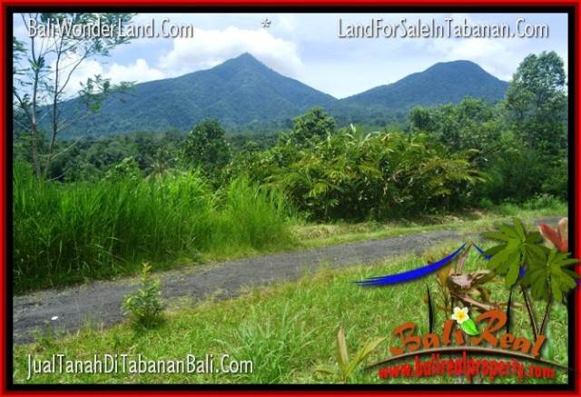 Exotic 150,000 m2 LAND IN Tabanan Penebel FOR SALE TJTB318