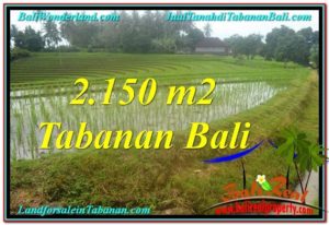 Affordable LAND FOR SALE IN Tabanan Selemadeg TJTB312