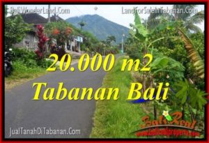 Affordable PROPERTY 20,000 m2 LAND FOR SALE IN Tabanan Penebel BALI TJTB315