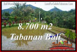 Beautiful LAND IN TABANAN FOR SALE TJTB316
