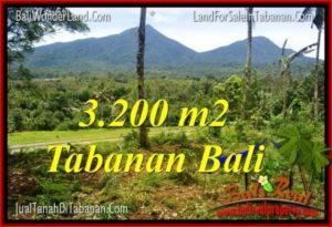 FOR SALE Magnificent 3,200 m2 LAND IN TABANAN TJTB319
