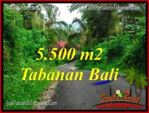 Beautiful LAND FOR SALE IN TABANAN BALI TJTB323