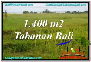 FOR SALE Beautiful 1,400 m2 LAND IN TABANAN TJTB309