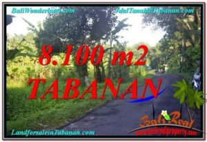 Magnificent Tabanan Marga LAND FOR SALE TJTB329