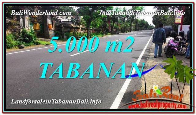 Magnificent PROPERTY 5,000 m2 LAND IN TABANAN FOR SALE TJTB332