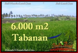 Magnificent LAND FOR SALE IN TABANAN TJTB267