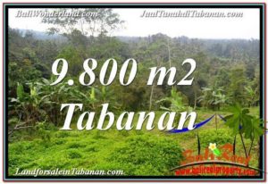 Magnificent LAND SALE IN TABANAN TJTB350