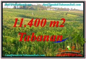 Exotic PROPERTY LAND FOR SALE IN Tabanan Selemadeg BALI TJTB339