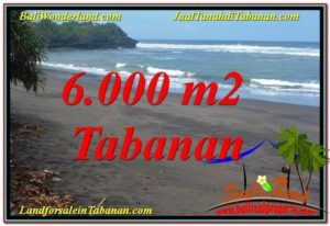 FOR SALE Exotic PROPERTY 6,000 m2 LAND IN Tabanan Selemadeg TJTB345