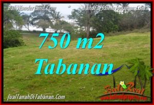 Beautiful LAND IN TABANAN FOR SALE TJTB346