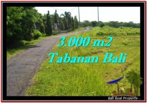Exotic 3,000 m2 LAND SALE IN TABANAN BALI TJTB246