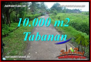 Magnificent PROPERTY LAND IN Tabanan Selemadeg BALI FOR SALE TJTB354