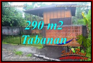 Magnificent PROPERTY 290 m2 LAND SALE IN Tabanan Penebel TJTB358