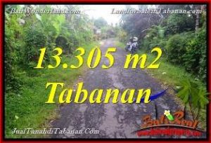 FOR SALE Magnificent 13,305 m2 LAND IN Tabanan Selemadeg BALI TJTB367