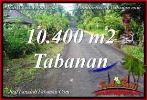 Beautiful 10,400 m2 LAND IN TABANAN FOR SALE TJTB369