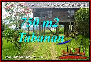 FOR SALE Affordable PROPERTY 750 m2 LAND IN Tabanan Bedugul BALI TJTB370