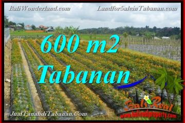 FOR SALE Magnificent PROPERTY LAND IN Tabanan Bedugul BALI TJTB372