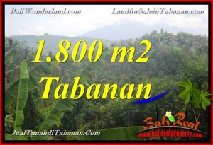 Exotic PROPERTY 1,800 m2 LAND SALE IN TABANAN TJTB379