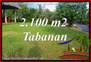 Magnificent PROPERTY 2,100 m2 LAND IN TABANAN FOR SALE TJTB393