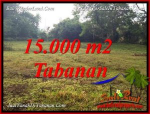 Beautiful TABANAN KOTA 15,000 m2 LAND FOR SALE TJTB381