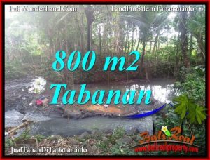 FOR SALE Cheap property 800 m2 LAND IN TABANAN SELEMADEG BALI TJTB384